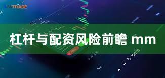 杠杆与配资风险前瞻 mm