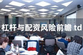 杠杆与配资风险前瞻 td